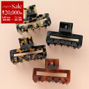 【7/1・23:59まで・最大2万円OFFクーポン配布中】ALEXANDRE DE PARIS アレクサンドル ドゥ パリ ヘアクリップ ACCM-18278-02 レディース ヘアアクセサリー 髪留め カラー4色
