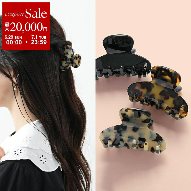 ALEXANDRE DE PARIS アレクサンドル ドゥ パリ ヘアクリップ CLIP S ACC