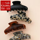 【7/1・23:59まで・最大2万円OFFクーポン配布中】ALEXANDRE DE PARIS アレクサンドル ドゥ パリ ヘアクリップ ACCL-7706 レディース 髪留め ヘアアクセサリー ロゴ カラー4色