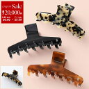 【7/1・23:59まで・最大2万円OFFクーポン配布中】ALEXANDRE DE PARIS アレクサンドル ドゥ パリ ヘアクリップ CLIP L ACCL-18193-02 レディース 髪留め ヘアアクセサリー カラー4色
