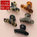 【7/1・23:59まで・最大2万円OFFクーポン配布中】ALEXANDRE DE PARIS アレクサンドル ドゥ パリ ヘアクリップ ACCS-18066-04 レディース 髪留め ヘアアクセサリー カラー5色