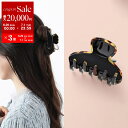 【7/1・23:59まで・最大2万円OFFクーポン配布中】ALEXANDRE DE PARIS アレクサンドル ドゥ パリ ヘアクリップ ACCS-17854-02P23 レディース 髪留め ヘアアクセサリー ロゴ NOIR-TOKYO【po_sannn】