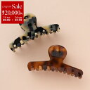 【7/5-7/6限定・最大2万円OFFクーポン配布中】ALEXANDRE DE PARIS アレクサンドル ドゥ パリ ヘアクリップ ACCM-18066-03 レディース 髪留め ヘアアクセサリー カラー5色【dc_kikaku】