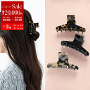 【8/1〜3限定・最大2万円OFFクーポン配布中】ALEXANDRE DE PARIS アレクサンドル ドゥ パリ ヘアクリップ ACCM-17874-02 レ...