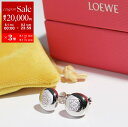【8/1〜3限定・最大2万円OFFクーポン配布中】LOEWE ロエベ ピアス ANAGRAM PEBBLE アナグラム ペブル J821239X23 レディース...