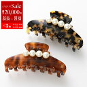 【8/1〜3限定・最大2万円OFFクーポン配布中】ALEXANDRE DE PARIS アレクサンドル ドゥ パリ ヘアクリップ CLIP L ACCL-169...
