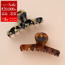 【8/1〜3限定・最大2万円OFFクーポン配布中】ALEXANDRE DE PARIS アレクサンドル ドゥ パリ ヘアクリップ ACCM-18066-03 レ...