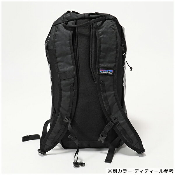 【エントリーでポイント最大7倍！30日21時〜23時59まで】patagonia パタゴニア 49040 NAD LW Black Hole Cinch Pack 20L ライトウェイト バックパック リュック バッグ NewAdobe ユニセックス