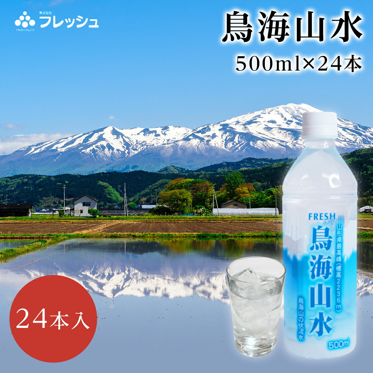 ミネラルウォーター 500mI 24本入り 鳥海山水 天然水 長期保存 防災 水