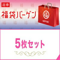 【送料無料】351円お得♪ サイズが選べる 福袋 ショーツ 綿100% レディース レース タイプ 深ばき さらさらシリーズ 同色5枚組 S・M・L・LL ショーツ 日本製 敏感肌 肌に優しい 食い込まない パンツ 綿 蒸れない 深ばきショーツ 締め付けない 下着 コットン 綿100 汗対策