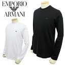 【春夏 国内正規】エンポリオ アルマーニ【EMPORIO ARMANI】ロングTシャツ　長袖　プルオーバー8N1TR1