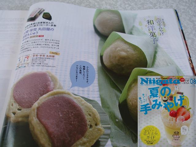 バレンタインにも！★送料無料★一つ一つ丁寧に手作り　自家製こしあん　冷たい涼菓！よもぎの麩まんじゅう（ふまんじゅう）10個入×2パック【marutaya】【RCP】麩饅頭　バレンタイン