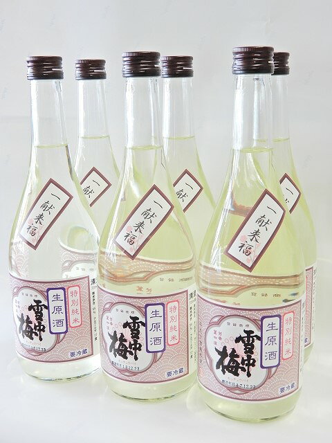 2025年12月23日頃発売予定★...