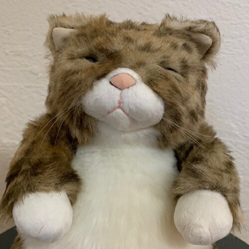 安い高品質 カドリー 仔ねこ ぬいぐるみ ちびピン(Chibipin) 茶トラ:セレクトマルワ店 NEW在庫
