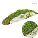 ■モス白樺ベース(w50cm) インテリア 枝 切り株 人工芝 観葉植物 モス 店舗装飾 造花 フェイクグリーン アレンジ 吊下げ 天井 壁面