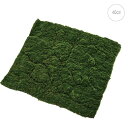 モスマット (40cm) 人工芝 苔 観葉植物 モス インテリア 店舗装飾 造花 フェイクグリーン アレンジ 吊下げ 天井 壁面