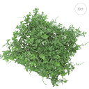【2枚セット】ミニボックスウッドマット(30cm) 人工芝 観葉植物 モス インテリア 店舗装飾 造花 フェイクグリーン アレンジ 吊下げ 天井 壁面