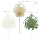 【各色2本セット】グレジュリーファンパームリーフ (76cm) (ホワイト・ベージュブラウン・セージグリーン)アレンジ 資材 グリーン 店舗装飾 造花 葉っぱ ...