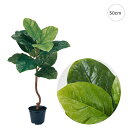 【新作】ゴムの木ミニポット (H50cm) 人工観葉植物 造花 フェイクグリーン 葉っぱ 観葉植物 壁掛け 壁 吊り下げ 世話いらず アレンジ モダン 洋風