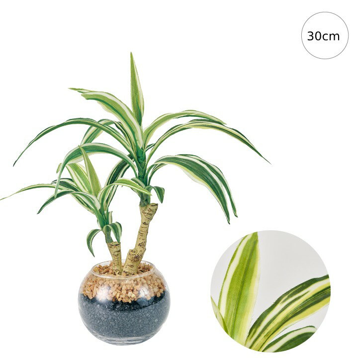 【新作】ドラセナラウンドグラス (30cm) 斑入り 人工観葉植物 造花 フェイクグリーン 葉っぱ 観葉植物 壁掛け 壁 吊り下げ シンプル モダン 可愛い リアル