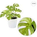 【3個セット】スプリットフィロプチポット(17cm) 人工観葉植物 造花 フェイクグリーン 葉っぱ 観葉植物 壁掛け 壁 アレンジ 高クオリティー おしゃれ