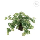 【新作】【2個セット】ペペロミアポット (22cm) 斑入り 人工観葉植物 造花 フェイクグリーン 葉っぱ 観葉植物 壁掛け 壁 吊り下げ アレンジ モダン