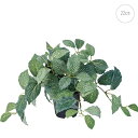 【新作】【2個セット】フィットニアポット (22cm) 人工観葉植物 造花 フェイクグリーン 葉っぱ 観葉植物 壁掛け 壁 吊り下げ インテリア お世話いらず