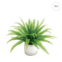 【新作】タマシダポット (H30cm) 人工観葉植物 造花 フェイクグリーン 葉っぱ 観葉植物 壁掛け 壁 吊り下げ インテリア お世話いらず 可愛い