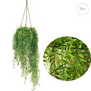 【新作】ポリゴファーンハンギングポット (70cm) 人工観葉植物 造花 フェイクグリーン 葉っぱ 消臭 光触媒 CT触媒 観葉植物 壁掛け 壁 吊り下げ
