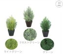 【3個セット】30cmクレストツリー 観葉植物 フェイク 造花 人工 リアル グリーン インテリア CT触媒 消臭