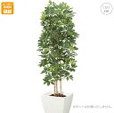 大型 カポックツリー(150cm) グリーン フェイクグリーン 人工観葉植物 人工 インテリア 観葉植物 モダン