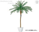 ■プレミアムフェニックスパームツリー(280cm) グリーン タヒチ 南国 夏 観葉植物 リアル 大型 インテリア 人工 フェイク 模様替え おしゃれ モダン シンプル 店舗 ディスプレイ カフェ インダストリアル 倉庫 レンガ 送料無料