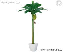【在庫限り】バナナツリー (房バナナ付き) (全長270 cm) グリーン 黄色 リアル タヒチ 南国 夏 観葉植物 大型 インテリア 人工 フェイク 模様替え...