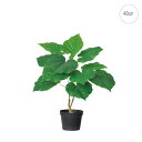 ウンベラータミニプラント (H40cm) 人工観葉植物 造花 フェイクグリーン 葉っぱ 観葉植物 壁掛け 壁 吊り下げ アレンジ インテリア シンプル モダン