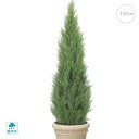 【屋外使用可】クレストツリー (150cm) 観葉植物 造花 タヒチ 南国 夏 観葉植物 大型 インテリア 人工 フェイク 模様替え おしゃれ モダン シンプル...