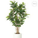 ゴムの木 (150cm) 観葉植物 造花 タヒチ 南国 夏 大型 インテリア 人工 フェイクグリーン 模様替え おしゃれ モダン シンプル 店舗 ディスプレイ ...