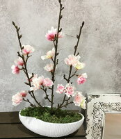 テーブルグリーン Sakura 桜 苔 コケ さくら 盆栽 和風 観葉植物 ミニ インテリア 人工観葉植物フェイクグリーン 造花 壁掛け 父の日 盆栽 プリザーブドフラワー 苔 モス インテリア アート 雑貨 オブジェ 日本 和風 モダン 和モダン 観葉植物 新築祝い テーブルグリーン Sakura 桜 苔 コケ さくら 盆栽 和風 観葉植物 ミニ インテリア 人工観葉植物フェイクグリーン 造花 壁掛け 父の日 盆栽 プリザーブドフラワー 苔 モス インテリア アート 雑貨 オブジェ 日本 和風 モダン 和モダン 観葉植物 新築祝い