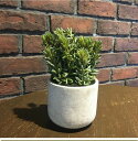 【新作】セダムポット (H23cm) インテリア 人工 観葉植物 夏 グリーン シンプル 多肉 可愛い アレンジ モダン お世話いらず