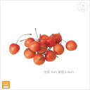 【在庫限り】【5パックセット】チェリー (さくらんぼ)(12個/1パック) インテリア キッチン 食品サンプル 店舗ディスプレイ 果物 野菜 フルーツ ベジタブ...