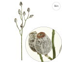 【3本セット】ユーカリベルギーナッツ (50cm) アレンジ 副資材 店舗装飾 インテリアディスプレイ 季節 飾り イベント 装飾 造花 観葉植物 アートグリー...