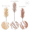 【3本セット】【造花 パンパス ススキ】テールパンパス (92cm) ふわふわ ナチュラル もふもふ 枝 白 ベージュ オブジェ店舗装飾 インテリアディスプレイ...