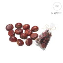 ■クリ (約3cm) (12袋入り) 栗 食品サンプル 店舗装飾 インテリアディスプレイ 季節 飾り イベント 装飾 造花 観葉植物 アートグリーン 秋 あしら...