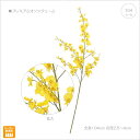 【再入荷しました!】【5本セット】プレミアムオンシジューム ラン 華やか 観葉植物 フェイク 造花 大型 人工観葉植物 リアル フェイクグリーン 消臭 CT触...