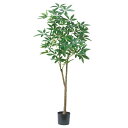 【再入荷】パキラツリー (高さ185cm) グリーン 観葉植物 造花 リアル タヒチ 南国 夏 観葉植物 大型 インテリア 人工 フェイク 模様替え おしゃれ ...