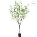 【おすすめ】ドウダン (高さ190cm) グリーン 観葉植物 造花 リアル タヒチ 南国 夏 観葉植物 大型 インテリア 人工 フェイク 模様替え おしゃれ モ...