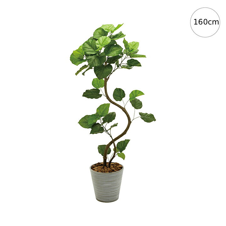 【人気商品】ウンベラータ　スパイラル (高さ160cm) ポット付き グリーン 観葉植物 造花 リアル タヒチ 南国 夏 観葉植物 大型 インテリア 人工 フェイク 模様替え おしゃれ モダン シンプル 店舗 ディスプレイ カフェ インダストリアル 倉庫 レンガ