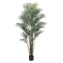 【ヤシの木】ワイルドパームツリー (高さ180cm) グリーン 観葉植物 造花 リアル タヒチ 南国 夏 観葉植物 大型 インテリア 人工 フェイク 模様替え ...