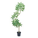 【大型】パキラツリー (高さ200cm) 観葉植物 造花 リアル タヒチ 南国 夏 観葉植物 大型 インテリア 人工 フェイク 模様替え おしゃれ モダン シン...