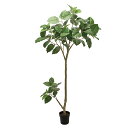 【大型】ウンベラータグランデポット (高さ210cm) 観葉植物 造花 リアル タヒチ 南国 夏 観葉植物 大型 インテリア 人工 フェイク 模様替え おしゃれ...