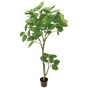 ウンベラータ (高さ180cm) 大型 グリーン 観葉植物 造花 リアル 高品質 タヒチ 南国 夏 観葉植物 大型 インテリア 人工 フェイク 模様替え おしゃ...